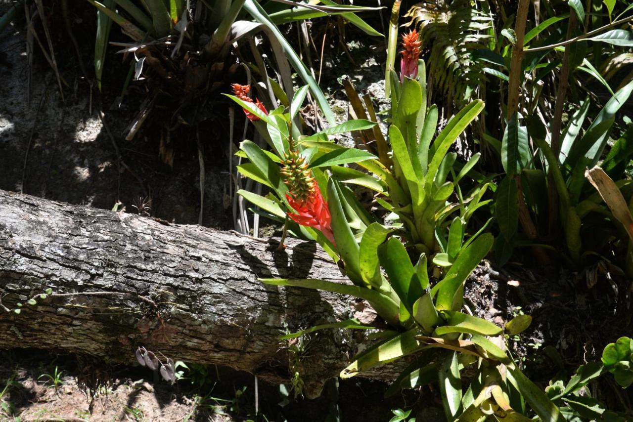 Sitio Olho D'agua Inn Bombinhas